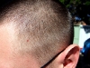 Kurzes Haar